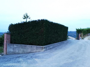 A 2,5 KM DAL CENTRO DI ALBA CON VISTA SULLE LANGHE
